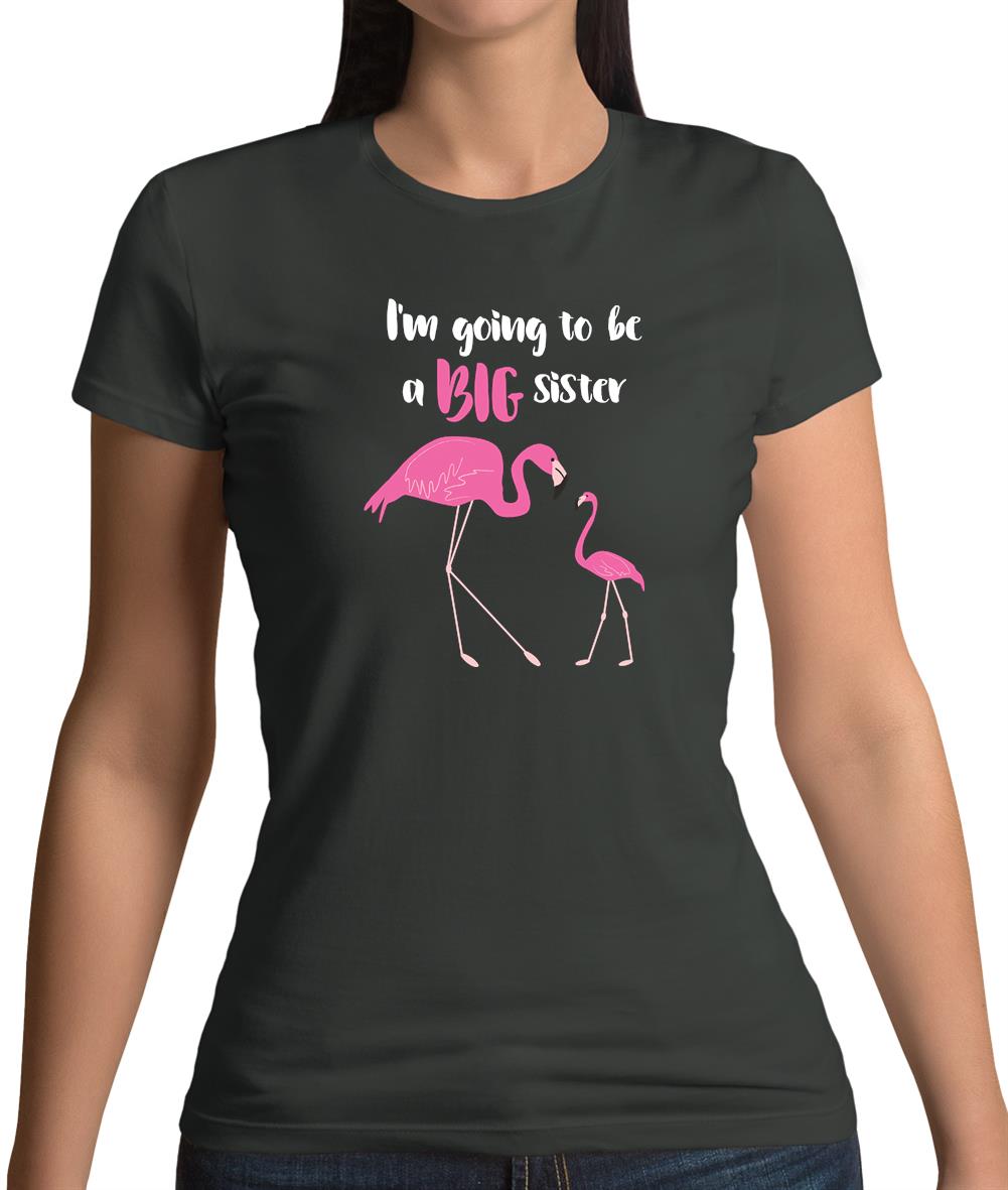 Big Sister Flamingo Womens T-Shirt Big Sister Flamingo Womens T-Shirt