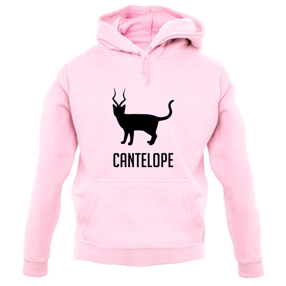 Cantelope unisex hoodie Cantelope unisex hoodie
