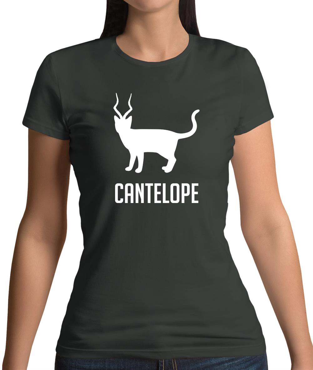 Cantelope Womens T-Shirt Cantelope Womens T-Shirt