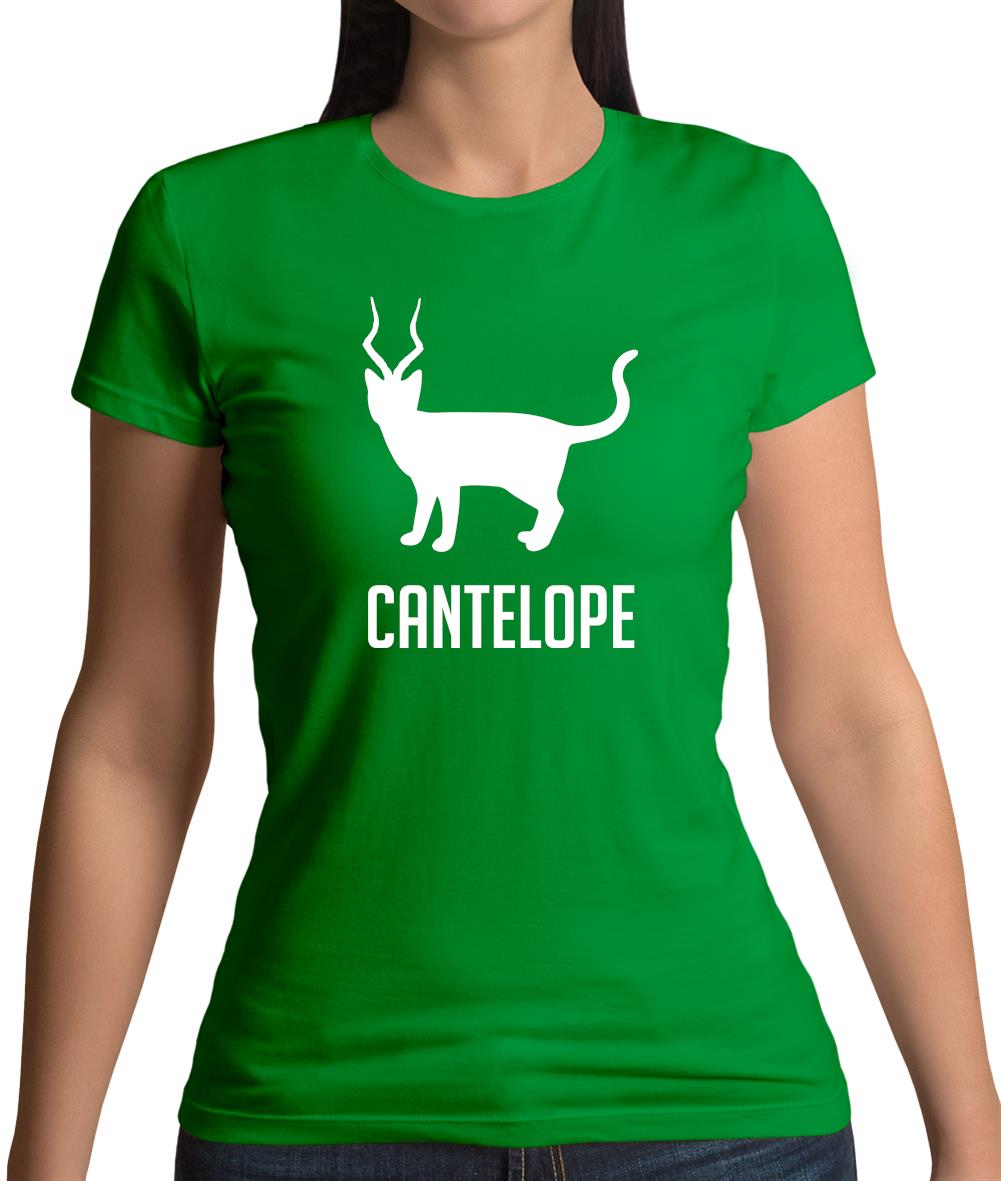 Cantelope Womens T-Shirt Cantelope Womens T-Shirt