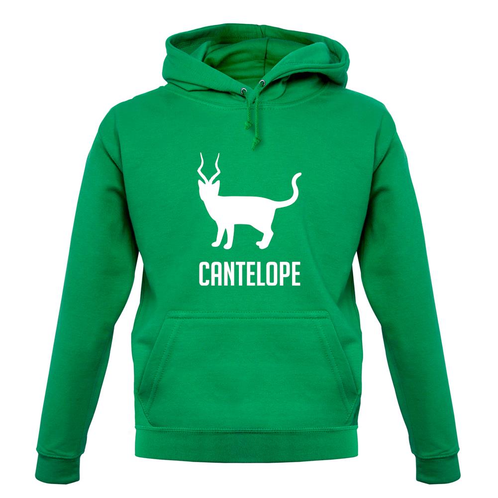 Cantelope unisex hoodie Cantelope unisex hoodie