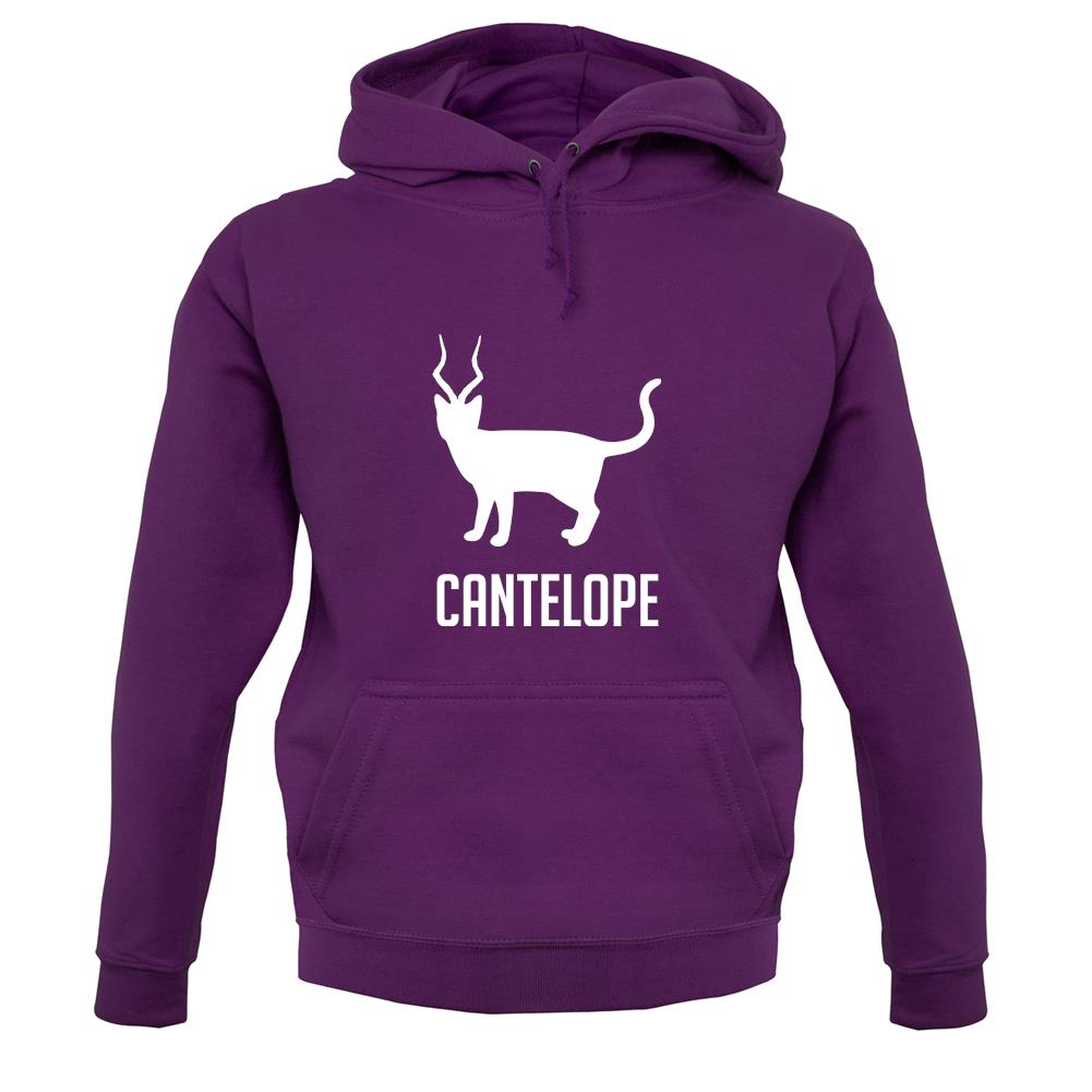 Cantelope unisex hoodie Cantelope unisex hoodie