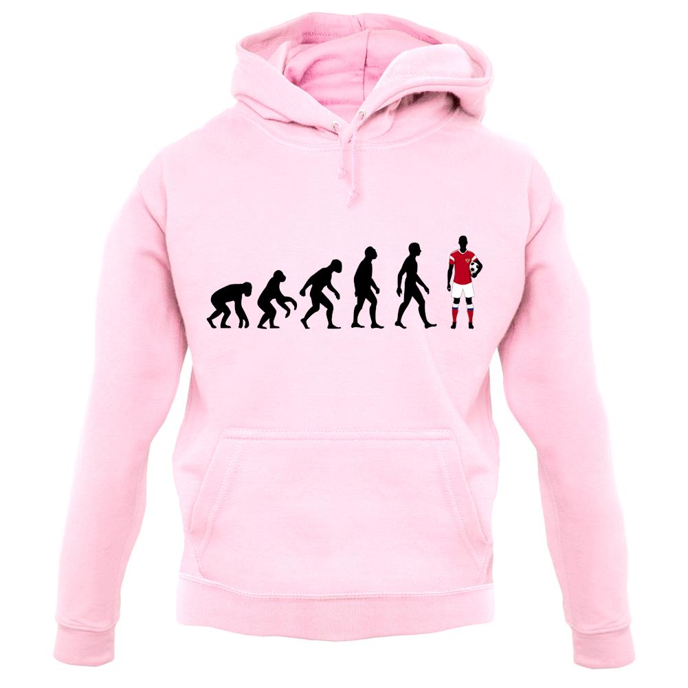 Evolution Of Man Russia unisex hoodie Evolution Of Man Russia unisex hoodie
