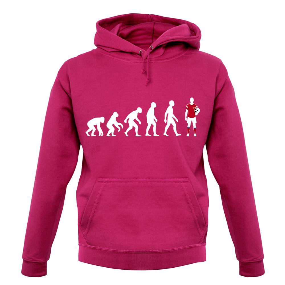 Evolution Of Man Russia unisex hoodie Evolution Of Man Russia unisex hoodie