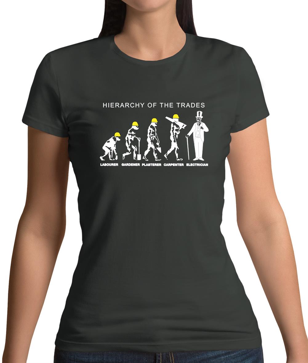 Hierarchy Of Trades Electricians Womens T-Shirt Hierarchy Of Trades Electricians Womens T-Shirt