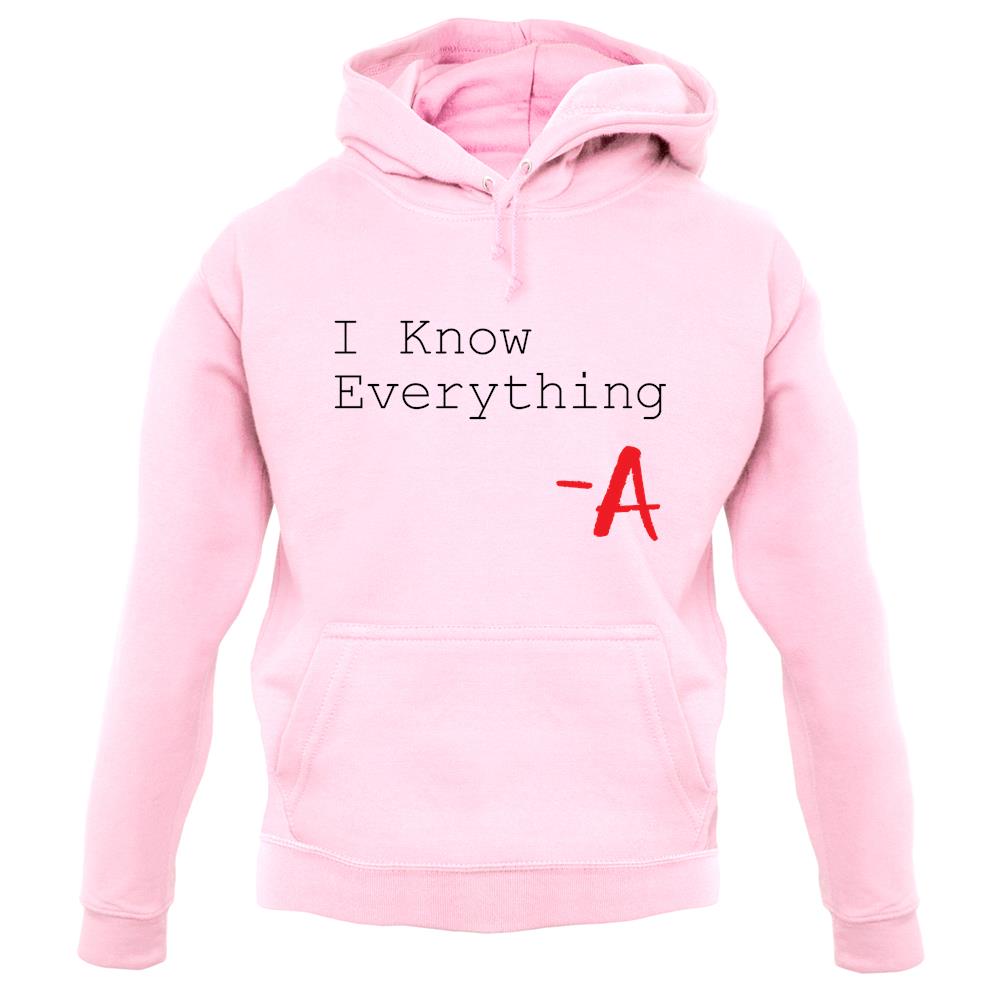 I Know Everything unisex hoodie I Know Everything unisex hoodie