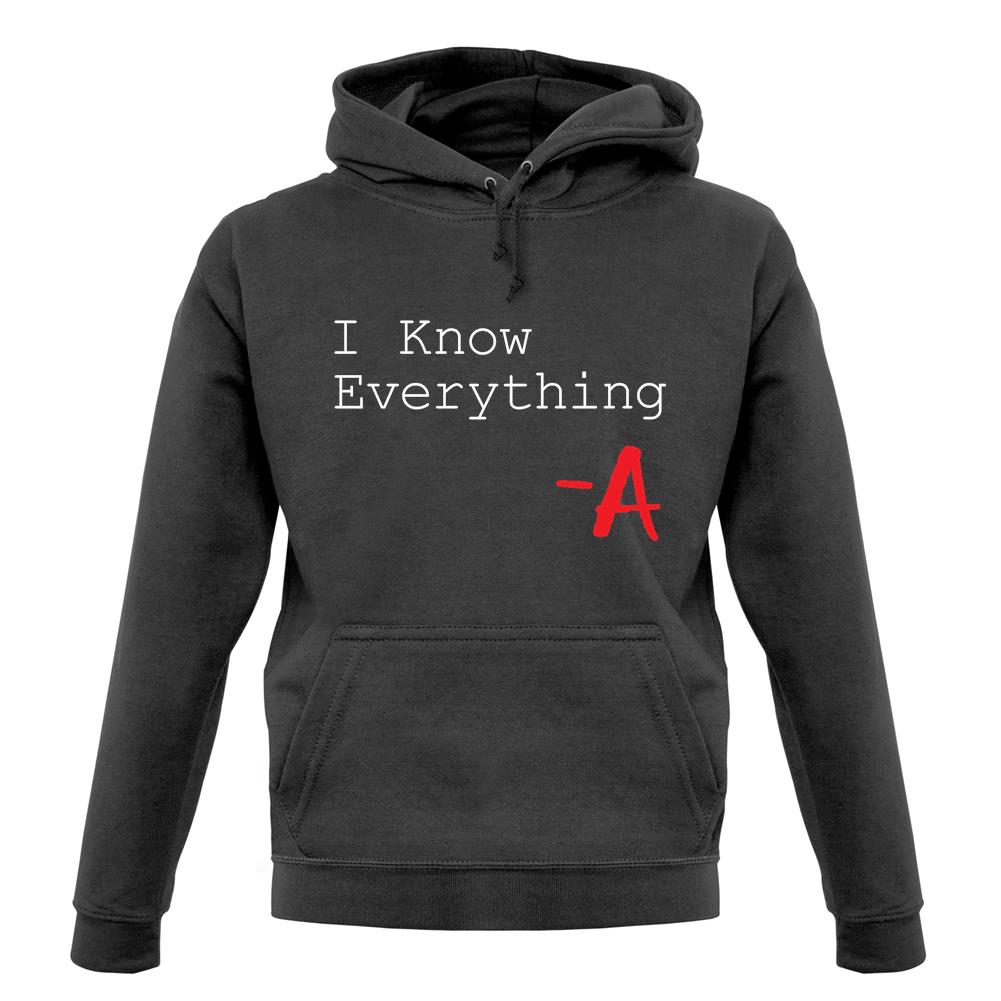 I Know Everything unisex hoodie I Know Everything unisex hoodie