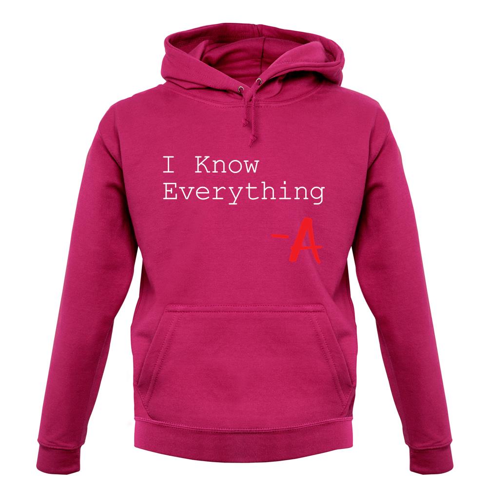 I Know Everything unisex hoodie I Know Everything unisex hoodie