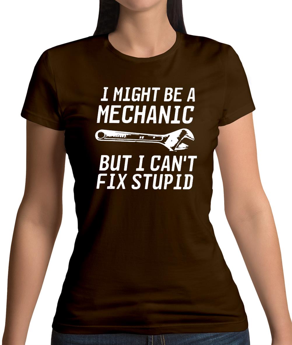 I Might Be A Mechanic But I Can't Fix Stupid Womens T-Shirt I Might Be A Mechanic But I Can't Fix Stupid Womens T-Shirt