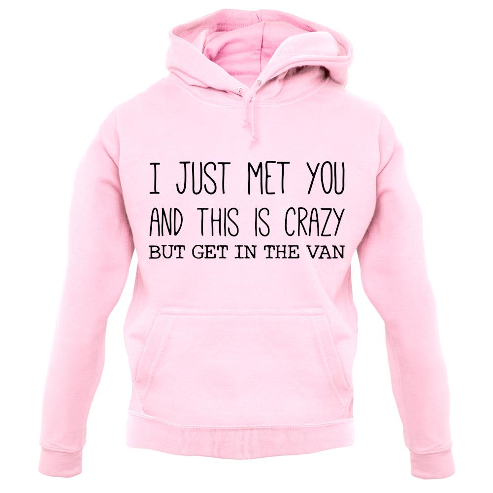 I Just Met You And This Is Crazy But Get In The Van unisex hoodie I Just Met You And This Is Crazy But Get In The Van unisex hoodie