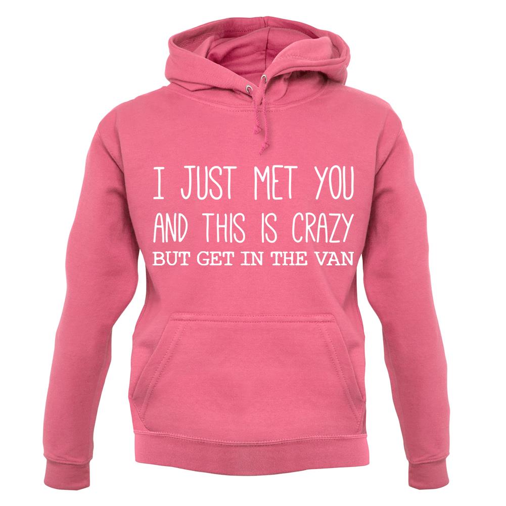 I Just Met You And This Is Crazy But Get In The Van unisex hoodie I Just Met You And This Is Crazy But Get In The Van unisex hoodie