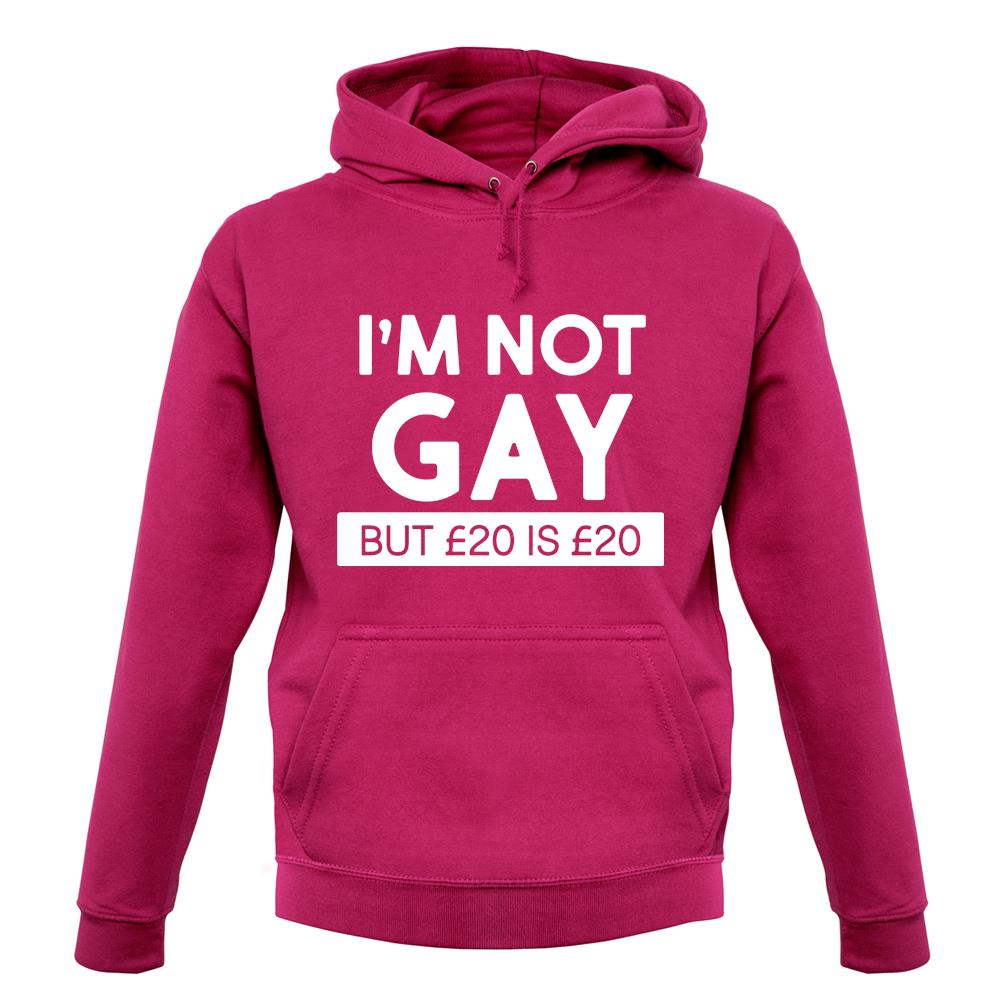 I'm Not Gay Unisex Hoodie I'm Not Gay Unisex Hoodie