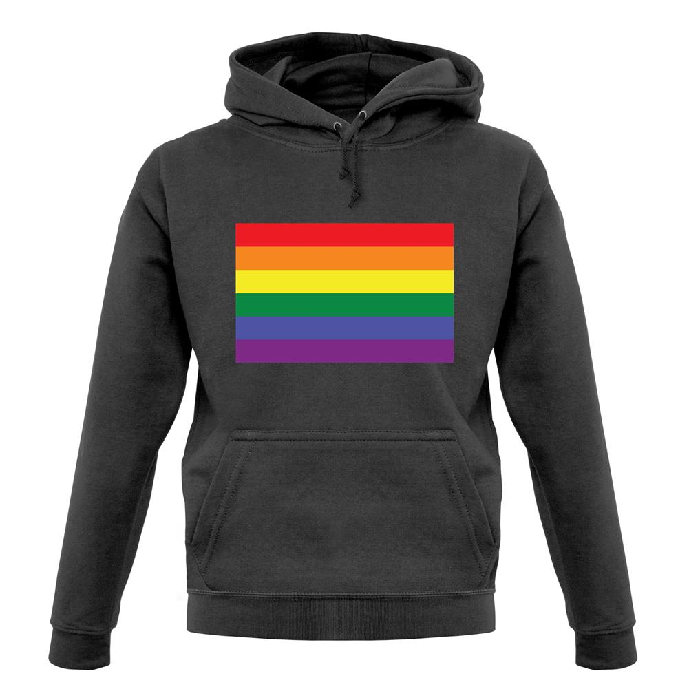 Lgbt Flags Lgbtq+ unisex hoodie Lgbt Flags Lgbtq+ unisex hoodie
