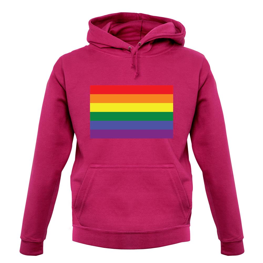 Lgbt Flags Lgbtq+ unisex hoodie Lgbt Flags Lgbtq+ unisex hoodie