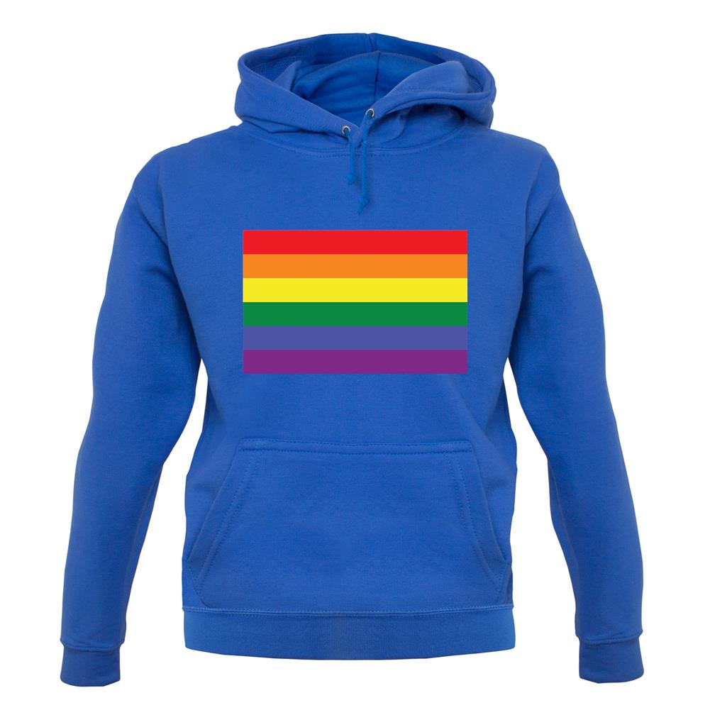 Lgbt Flags Lgbtq+ unisex hoodie Lgbt Flags Lgbtq+ unisex hoodie