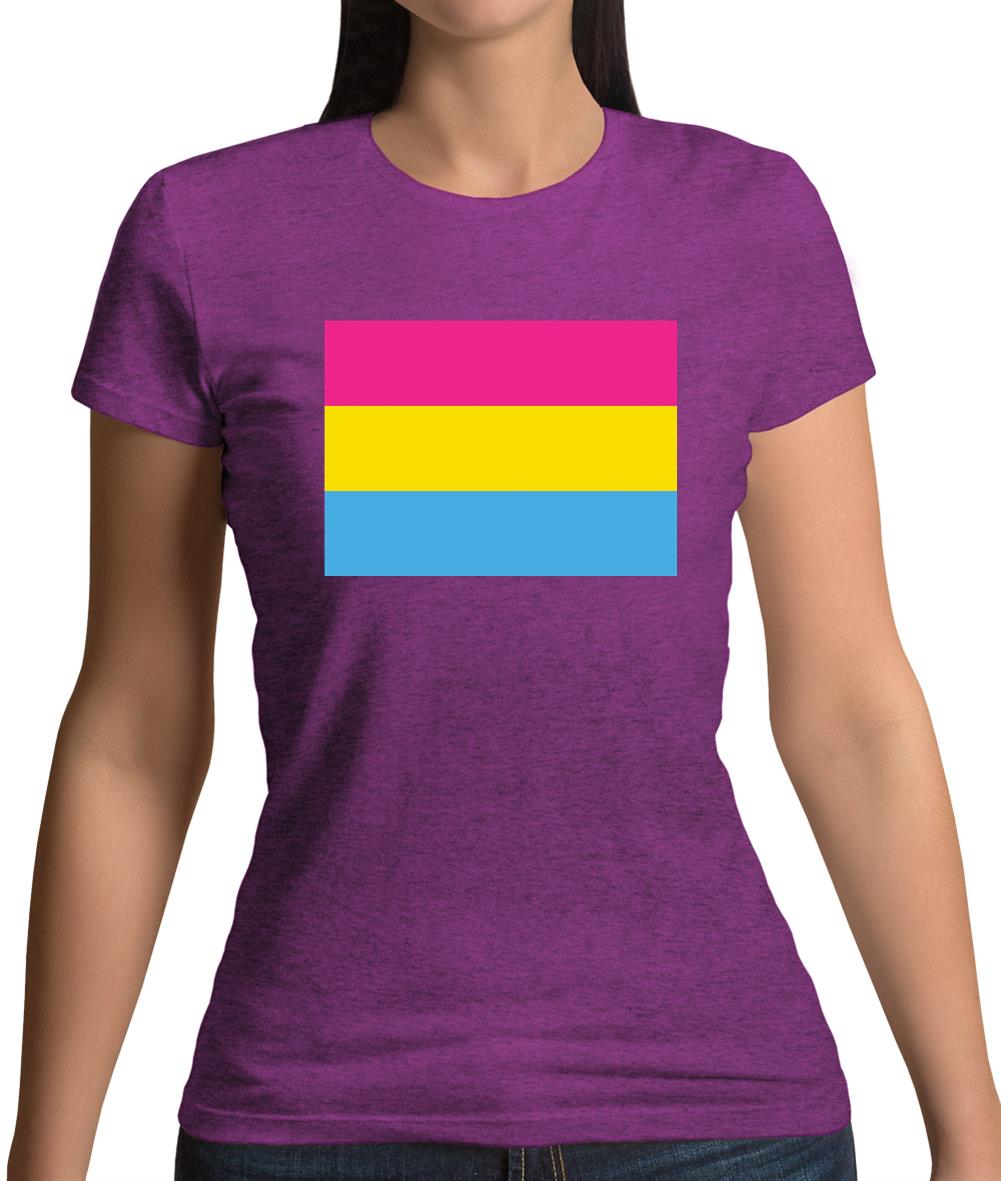 Lgbt Flags Pan Sexual Womens T-Shirt Lgbt Flags Pan Sexual Womens T-Shirt
