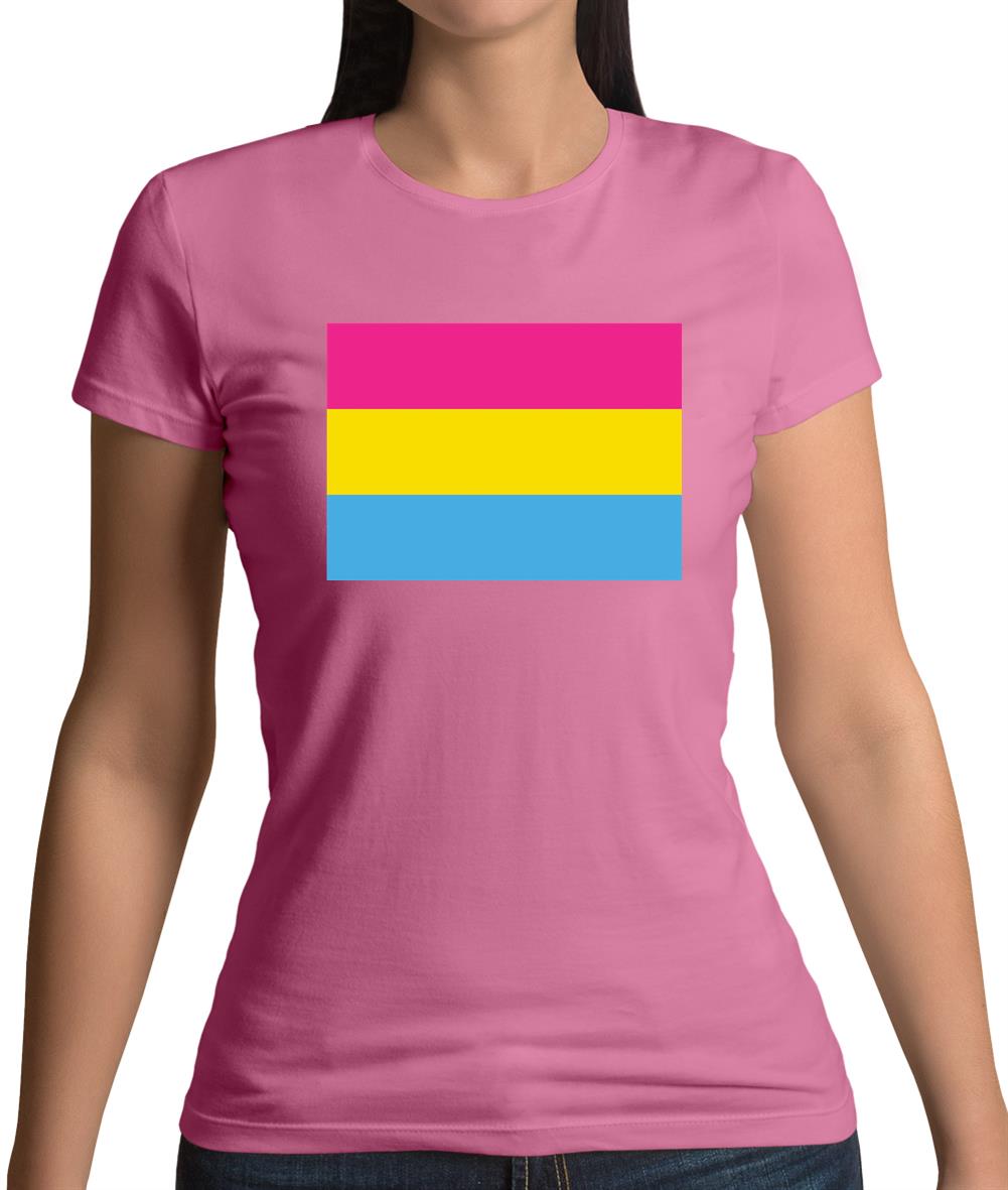 Lgbt Flags Pan Sexual Womens T-Shirt Lgbt Flags Pan Sexual Womens T-Shirt