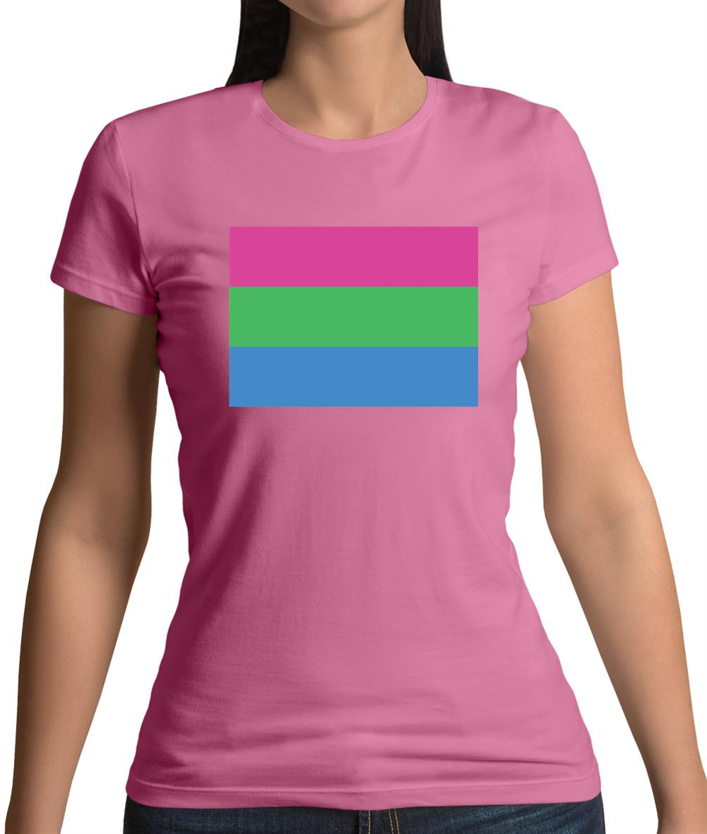 Lgbt Flags Polysexual Womens T-Shirt