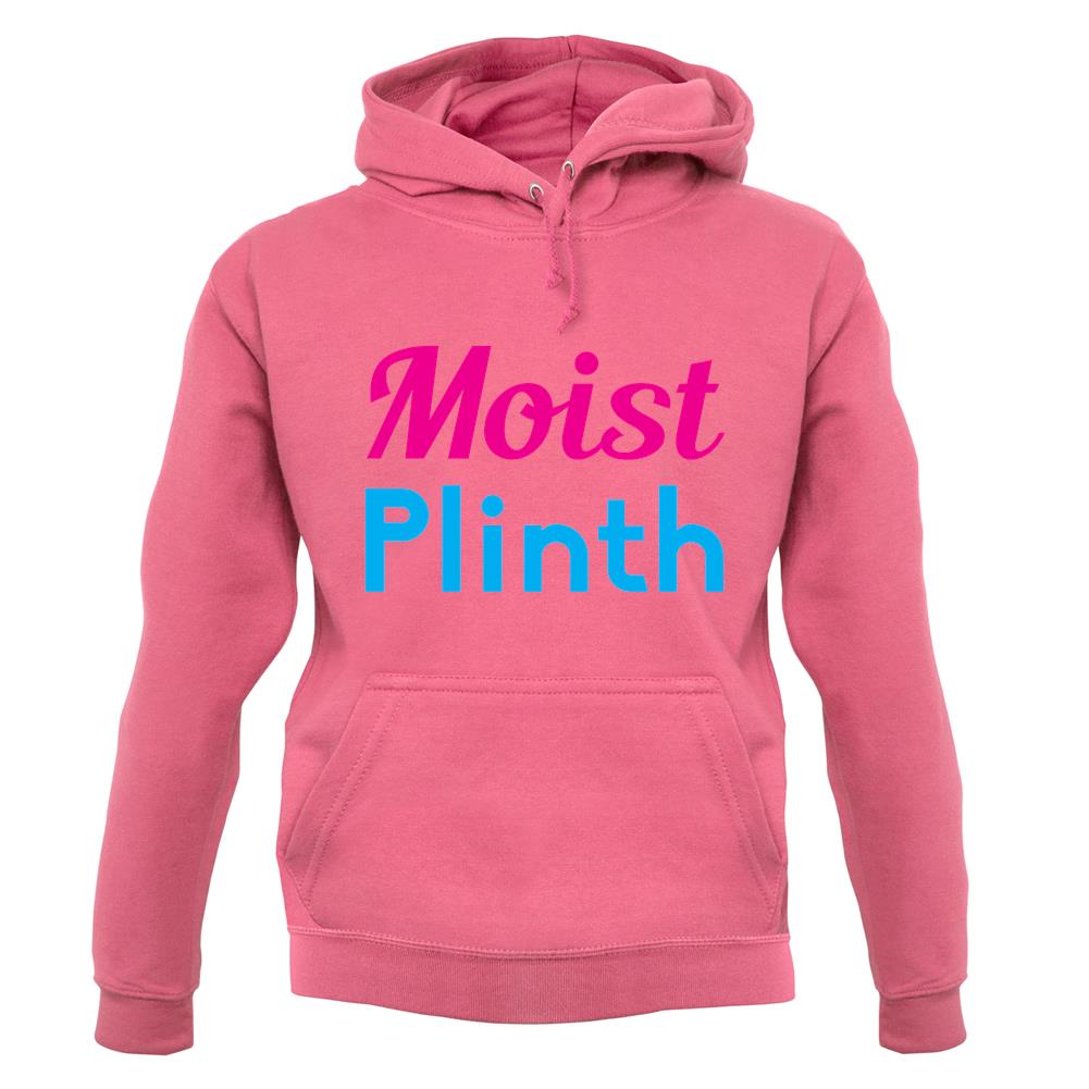 Moist Plinth unisex hoodie Moist Plinth unisex hoodie