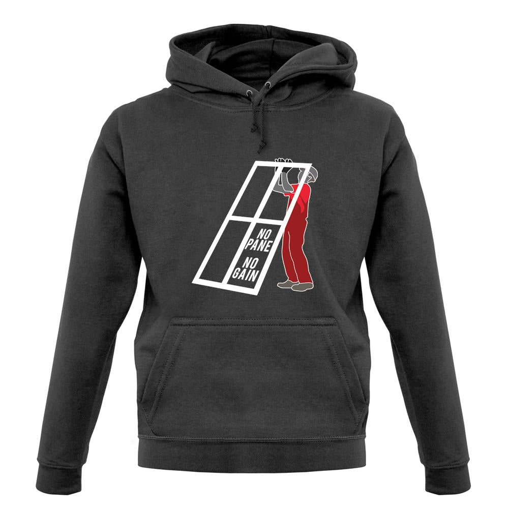 No Pane No Gain unisex hoodie No Pane No Gain unisex hoodie