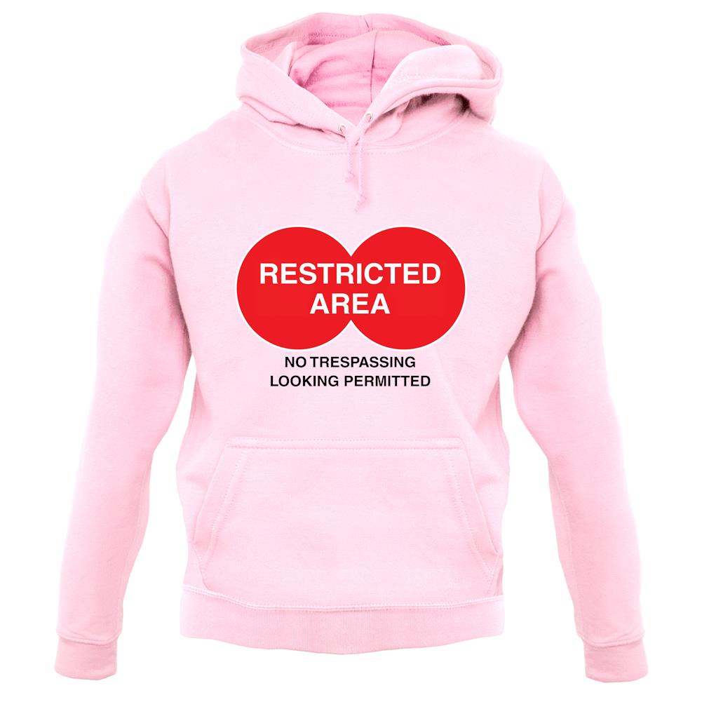 Restricted Area unisex hoodie Restricted Area unisex hoodie