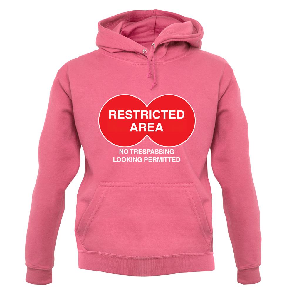 Restricted Area unisex hoodie Restricted Area unisex hoodie