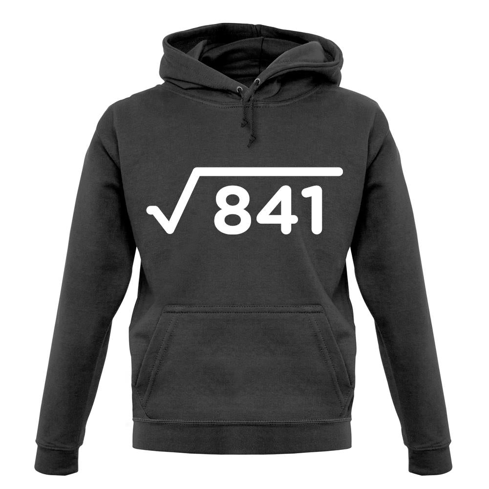 Square Root Birthday 29 unisex hoodie Square Root Birthday 29 unisex hoodie