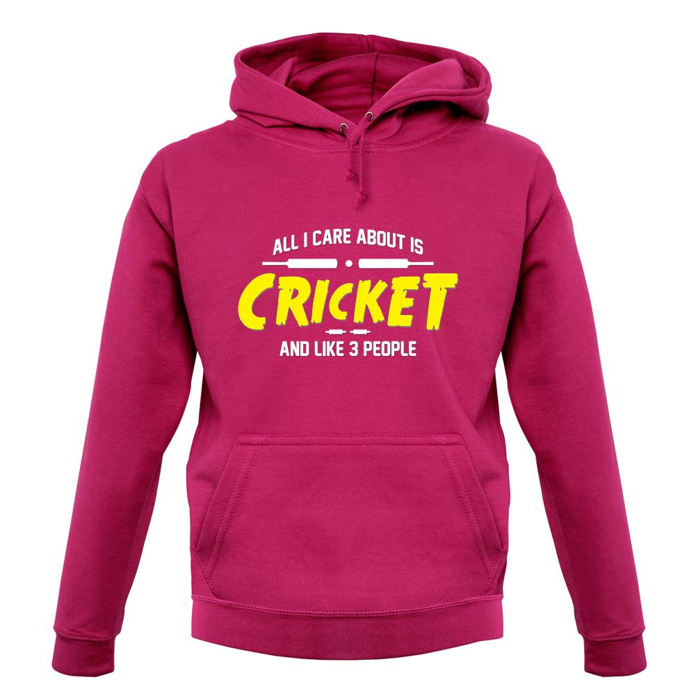 All I Care About Is Cricket unisex hoodie