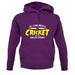 All I Care About Is Cricket unisex hoodie