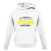 All I Care About Is Cycling unisex hoodie