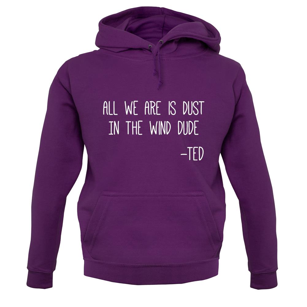 All We Are Is Dust In The Wind Dude unisex hoodie
