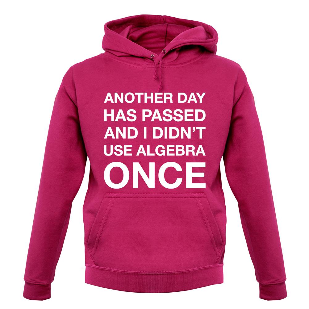 Another Day Has Passed And I Didn'T Use Algebra Once unisex hoodie