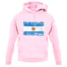 Argentina Grunge Style Flag unisex hoodie