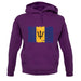 Barbados Grunge Style Flag unisex hoodie