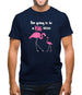Big Sister Flamingo Mens T-Shirt
