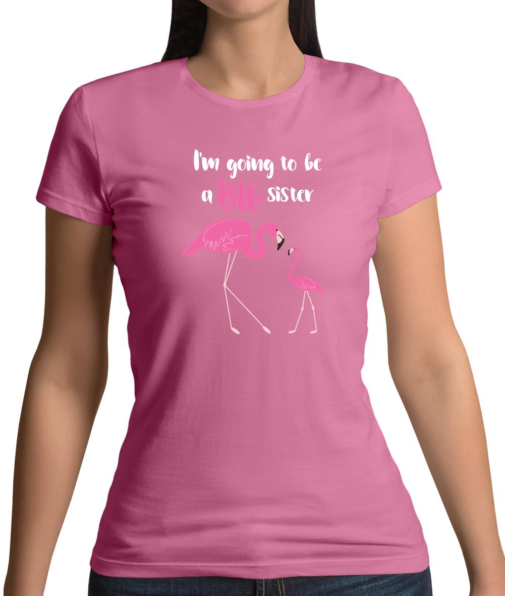 Big Sister Flamingo Womens T-Shirt