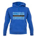 Botswana Grunge Style Flag unisex hoodie