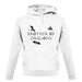 Brother Of Dragons unisex hoodie