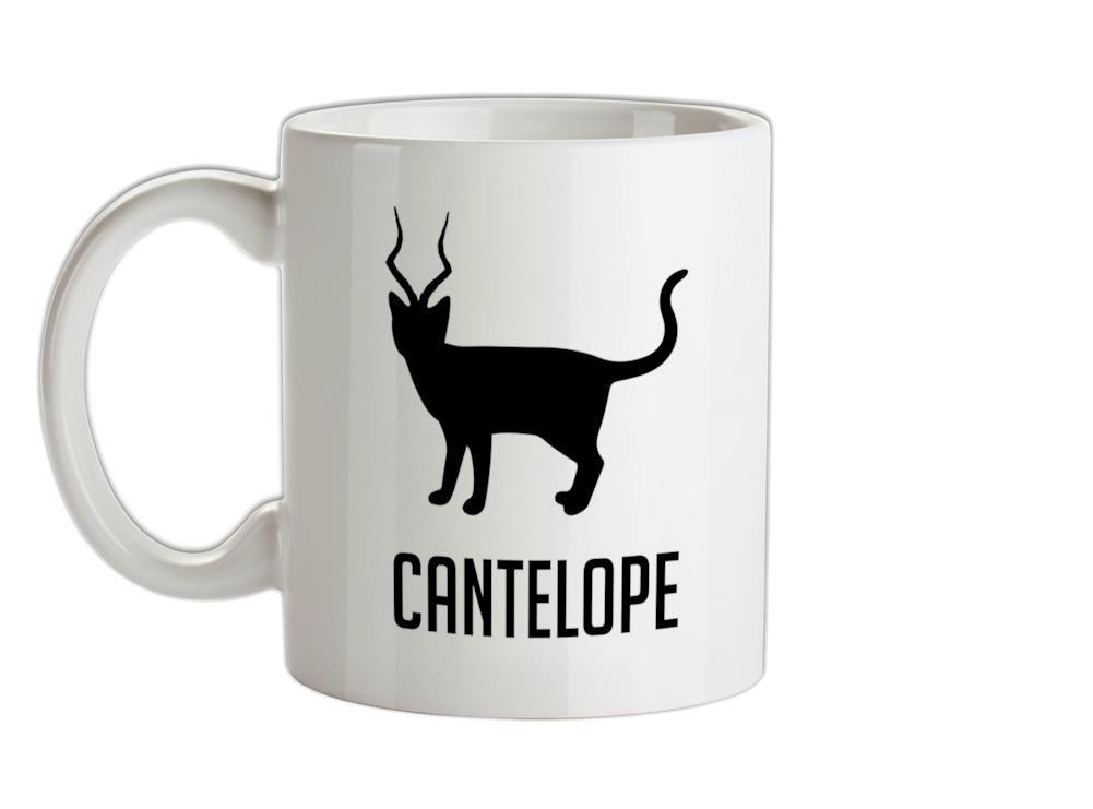 Cantelope Ceramic Mug
