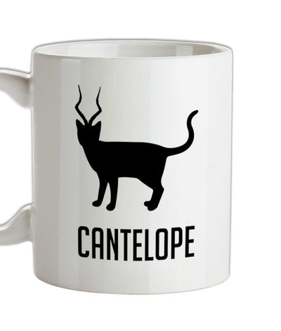 Cantelope Ceramic Mug