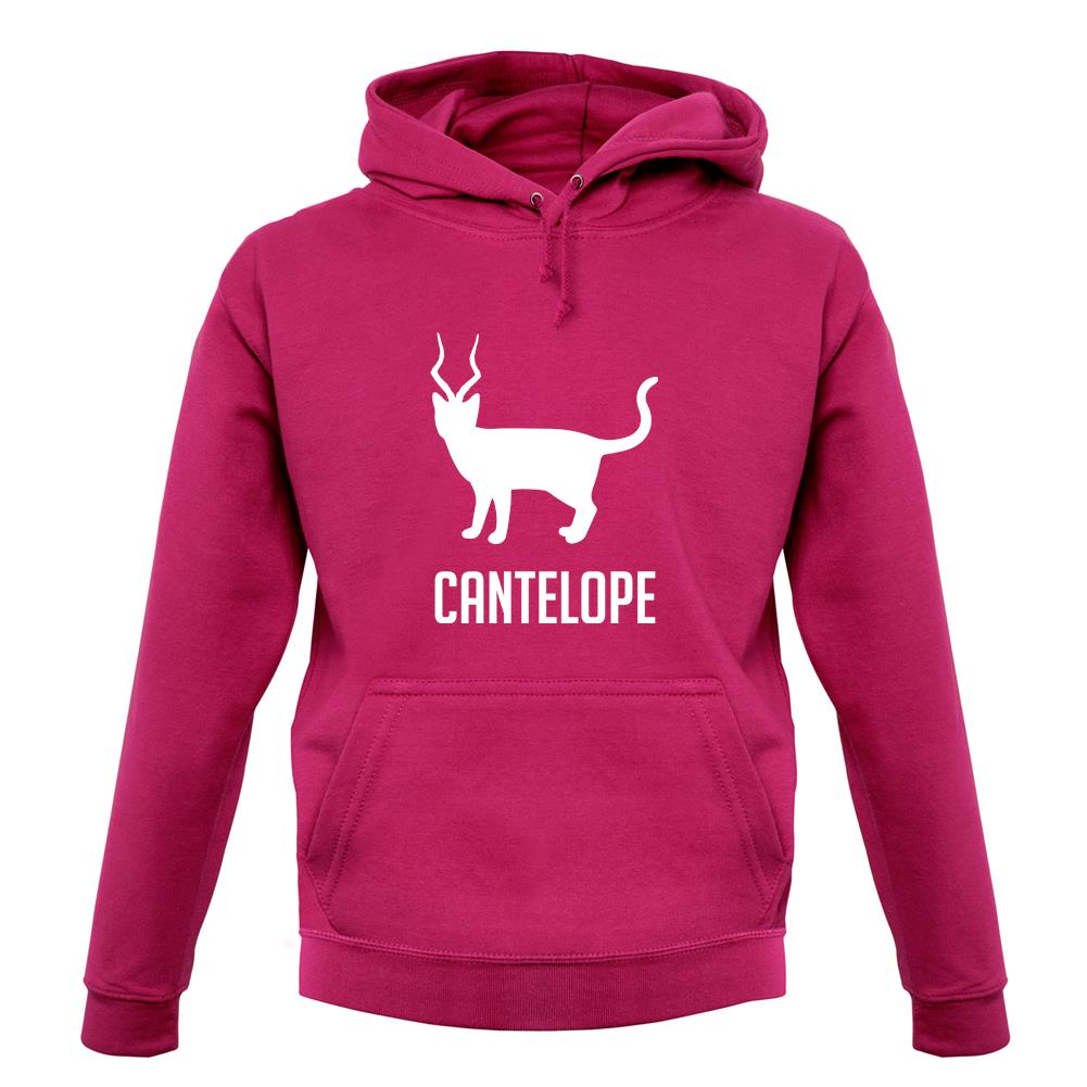 Cantelope unisex hoodie