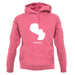 Paraguay Silhouette unisex hoodie