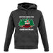 Driving Home For Christmas unisex hoodie