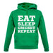 Eat Sleep Cricket Repeat unisex hoodie