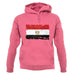 Egypt Grunge Style Flag unisex hoodie