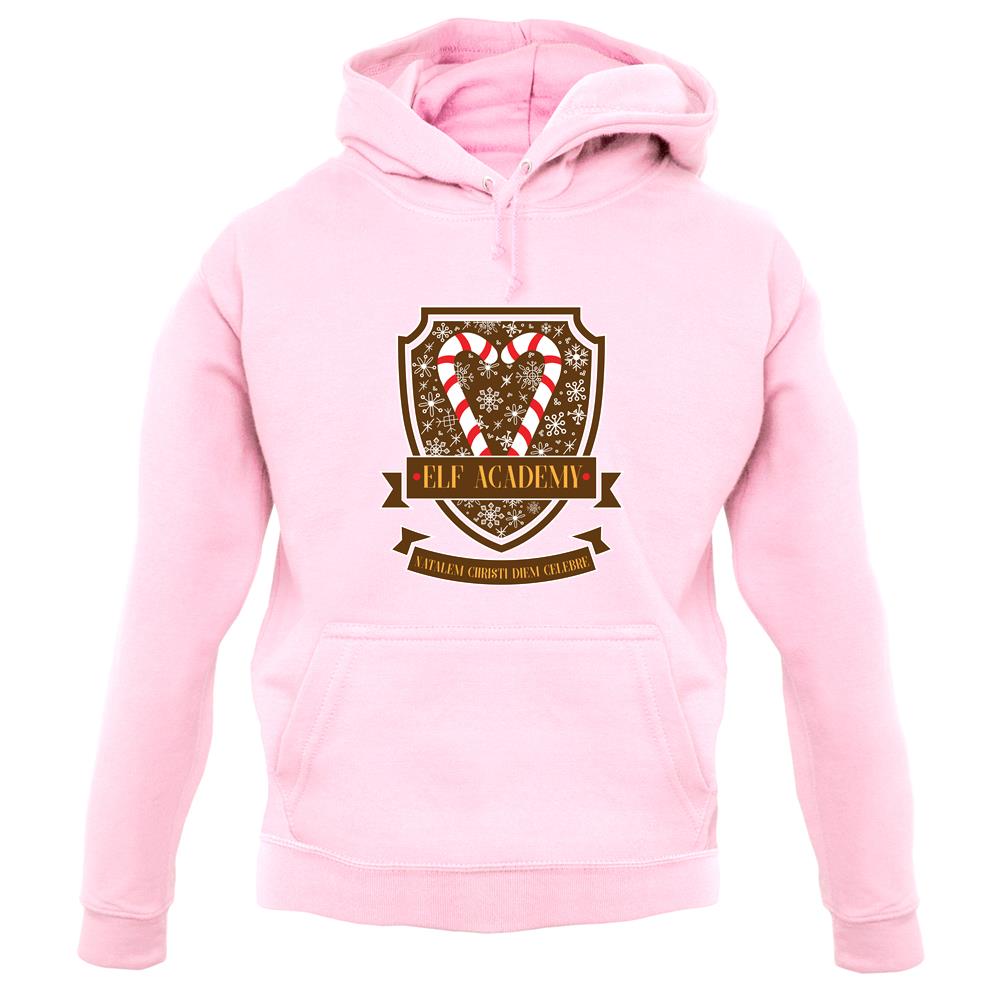 Elf Academy unisex hoodie