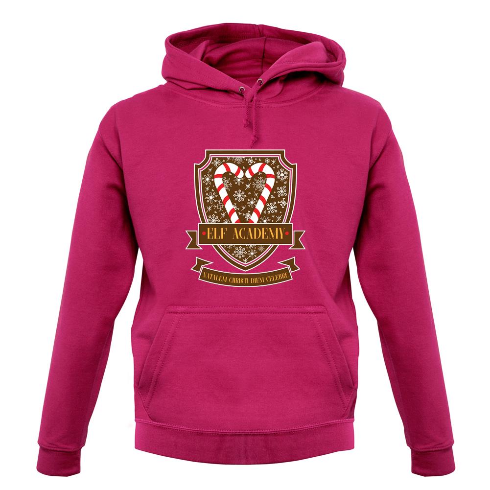 Elf Academy unisex hoodie