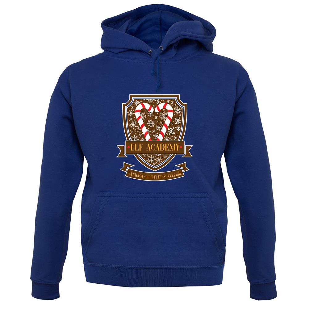 Elf Academy unisex hoodie