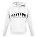 Evolution Of Woman Beekeeper unisex hoodie