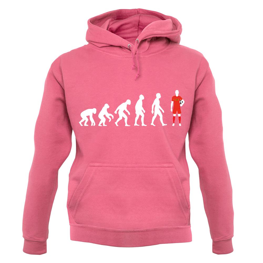 Evolution Of Man Belgium unisex hoodie